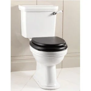 Унитаз компакт Devon & Devon Rose IBWCROSE круглый - фото 2