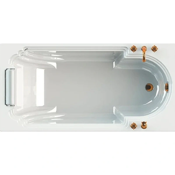 Акриловая ванна Fra Grande Анабель 4-01-4-0-1-417, 170 x 85 см, рама-подставка на декоративных ножках, подголовник, бронза - фото 1