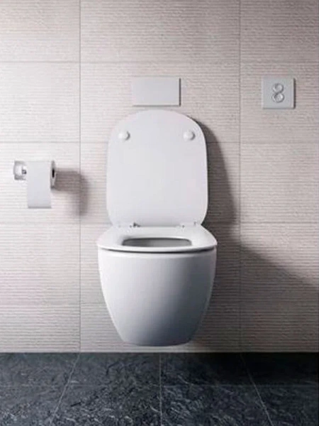 Клавиша смыва Ideal Standard Prosys Septa Pro хром, слив эконом-стандарт с двумя клавишами - фото 3