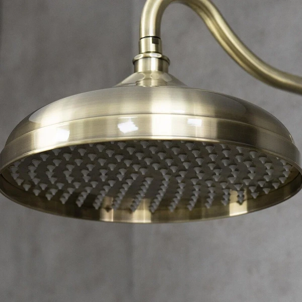 Душевой комплект Lemark Villa LM4822 - фото 3