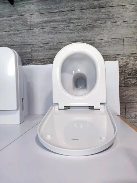 Унитаз подвесной Hansgrohe GladeLake S белый, с горизонтальным, прямым выпуском, с прямым выпуском - фото 7