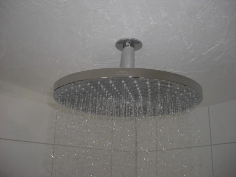 Верхний душ Hansgrohe Raindance 27478000 - фото 4