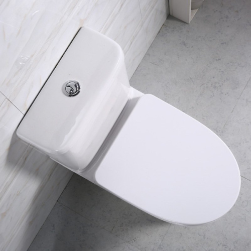 Унитаз компакт BelBagno Steam BB130CPR напольный - фото 4