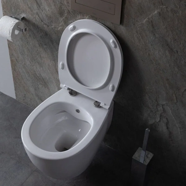 Унитаз подвесной Allen Brau Fantasy со смесителем index_1 - фото 10