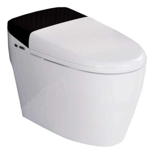 Унитаз напольный RGW SW-31 с функцией биде - фото 1