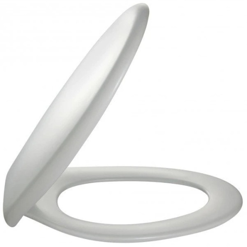 Унитаз подвесной Jacob Delafon Brive E4345G-00 - фото 3