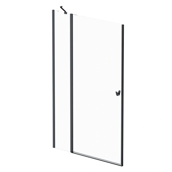 Душевая дверь в нишу Am.Pm Sunny 120 см профиль черный W87G-120-1P-BT (детальная фотография)