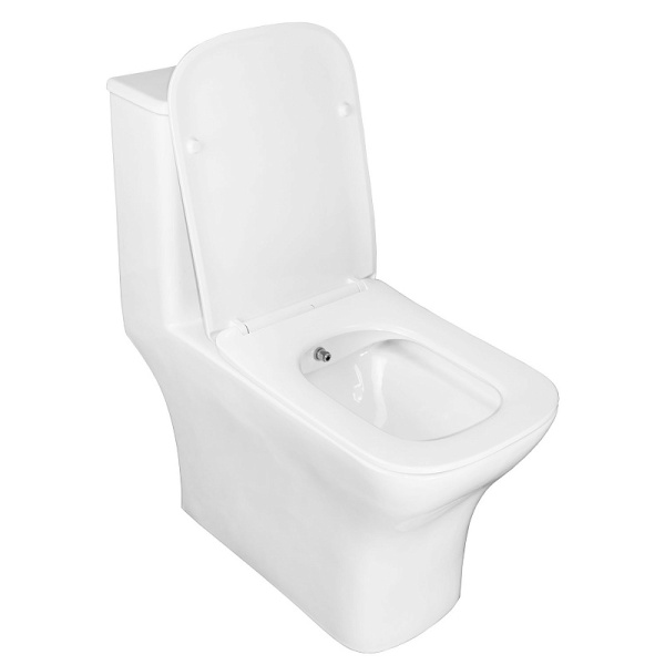 Унитаз моноблок Azario Lodi с функцией биде AZ-8617B (детальная фотография), напольные