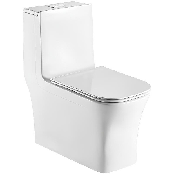 Унитаз моноблок WeltWasser Glanbach с сиденьем микролифт WW GLANBACH 001 GL-WT (детальная фотография)