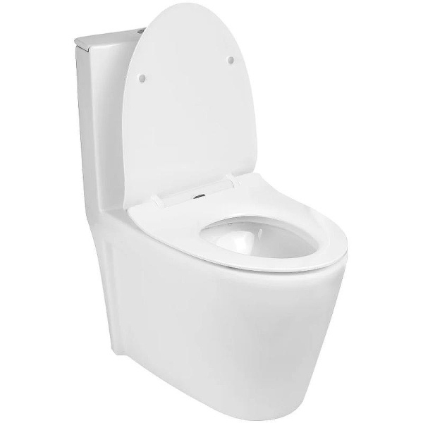 Унитаз моноблок WeltWasser Welzbach белый глянец WW WELZBACH 001GL-WT (детальная фотография), с бачком