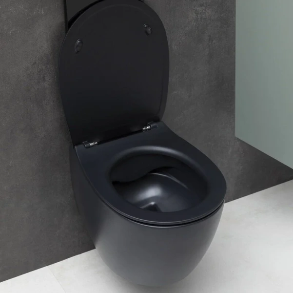 Унитаз подвесной Allen Brau Fantasy черный 4.11004.31 (детальная фотография) index_1