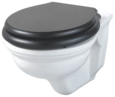 Унитаз подвесной Devon & Devon Rose белый