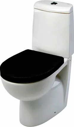 Крышка-сидение с микролифтом Roca Victoria Nord черная ZRU9302627 (детальная фотография), в наличии