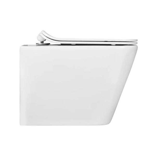 Унитаз подвесной Акватек Дельта белый AQ1911-00 (детальная фотография), белые