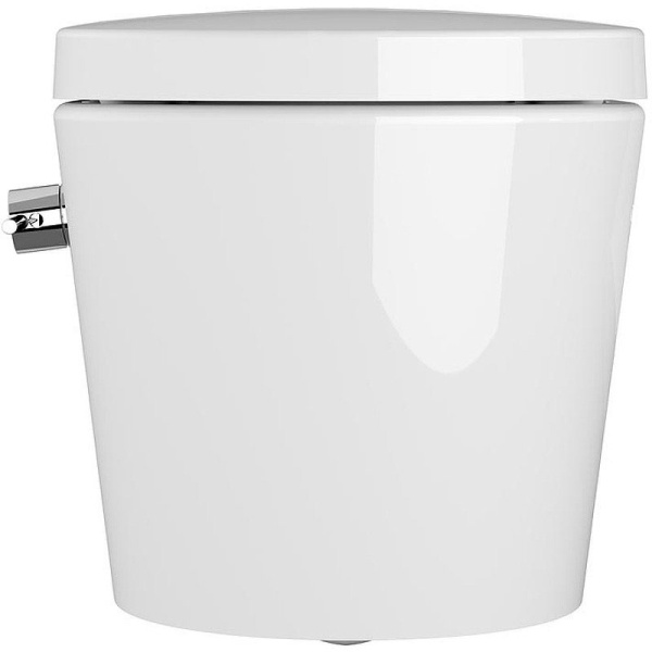 Унитаз подвесной VitrA Nest c функцией биде 5176B003-6233 (детальная фотография), подвесные, встраиваемые