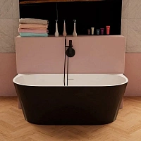 Ванна акриловая Frank F6163, 12531, 170 х 80 см, цвет белый/черный