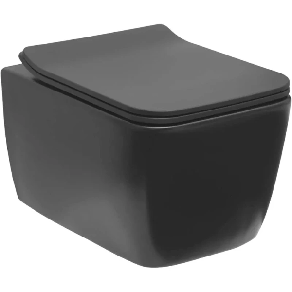 Унитаз подвесной Allen Brau Liberty антрацит 4.33007.AN (детальная фотография)