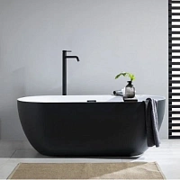 Акриловая ванна Aquanet Delight 289723, 170 x 80 см, цвет черный