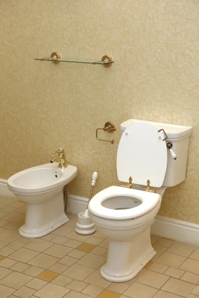 Унитаз напольный Devon & Devon Rose белый IBWCROSE (детальная фотография), высокие, низкие