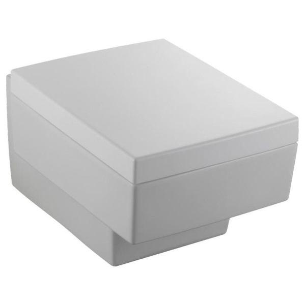 Унитаз подвесной Jacob Delafon Terrace EDA102 (детальная фотография)