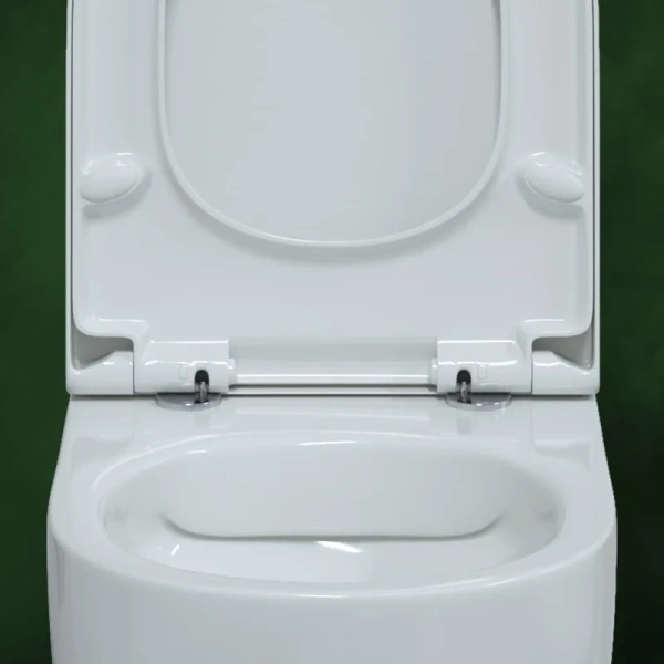 Унитаз подвесной BERGES Ego с микролифтом 082122 (детальная фотография), с горизонтальным, прямым выпуском, с прямым выпуском