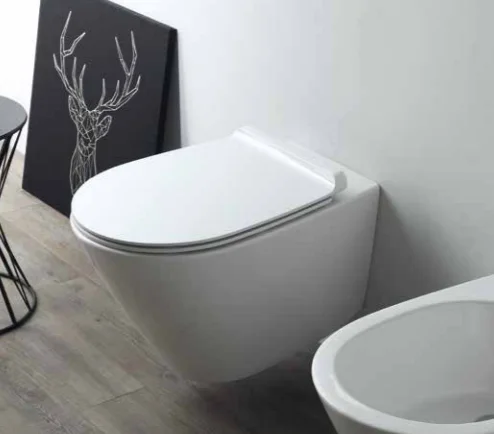 Унитаз подвесной Simas Gambassi безободковый GA18bi (детальная фотография), подвесные, встраиваемые