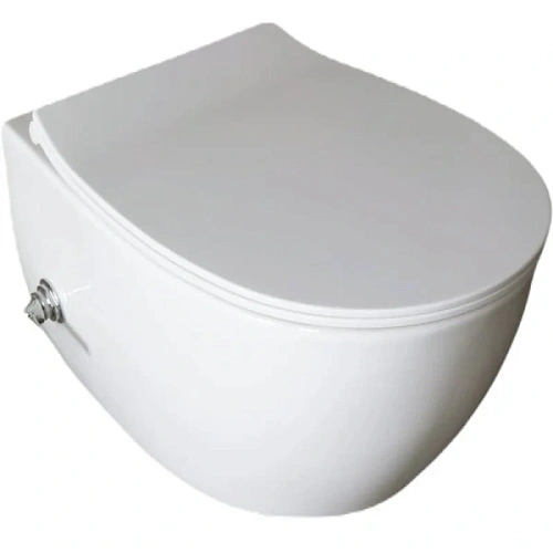 Унитаз подвесной Allen Brau Fantasy со смесителем - фото 1