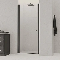 Душевая дверь в нишу RGW Dolphin TN-03-B 90 см профиль черный, стекло прозрачное