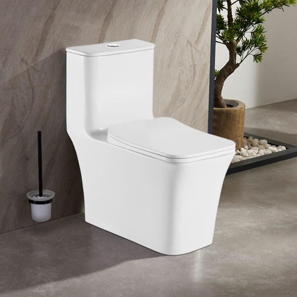 Унитаз моноблок Azario Gressa AZ-1111 с сиденьем (детальная фотография), в наличии, по запросу