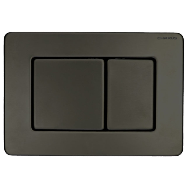 Клавиша смыва Charus Robusto оружейная сталь FP.310.GNM.05 (детальная фотография)