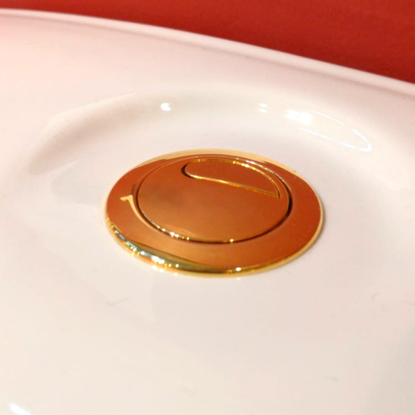 Кнопка смыва Migliore двойная (детальная фотография), в наличии, по запросу