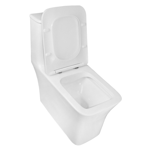 Унитаз моноблок Azario Gressa AZ-1111 с сиденьем (детальная фотография), с бачком