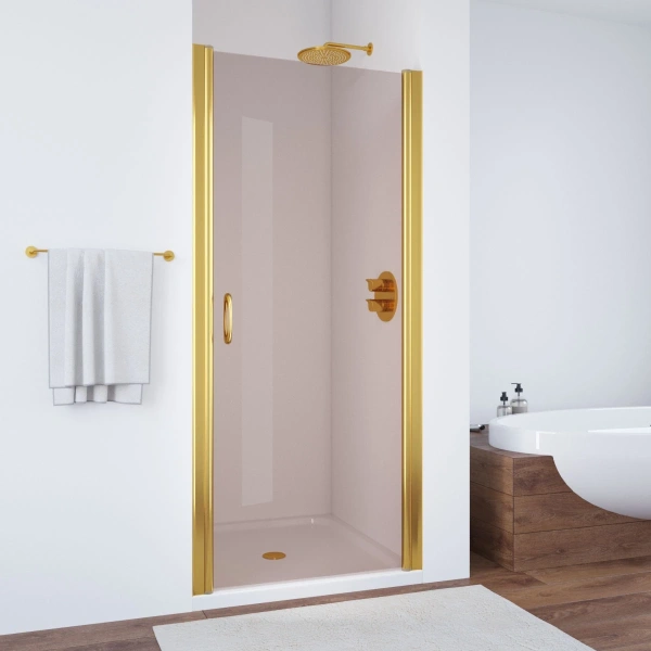 Душевая дверь Vegas-glass EP 80 (детальная фотография)