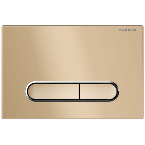 Клавиша смыва Charus Magnus матовый песок FP.340.51.01 (детальная фотография)