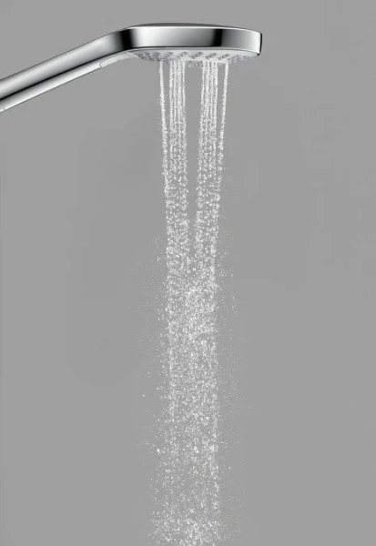 Душевая лейка Hansgrohe Croma Select E 26811400 (детальная фотография) index_1