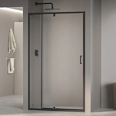 Душевая дверь в нишу RGW Passage PA-008B 110 см профиль черный