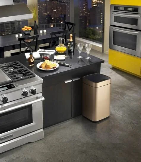 Мусорное ведро WeltWasser WW ME 28 л шампань золото WW RONE CG 28L (детальная фотография), современные, hi-tech