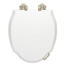 Крышка-сидение с микролифтом Devon & Devon 3IBSEBIAW белая лакированная