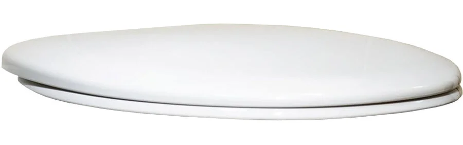 Крышка-сидение Roca Mateo белая ZRU9302815 (детальная фотография), в наличии