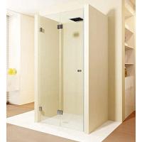 Душевая дверь в нишу левая Riho Scandic M105 90 см