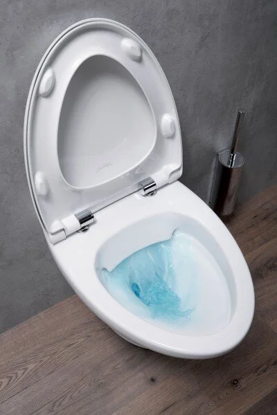 Унитаз подвесной Jacob Delafon NOUVELLE VAGUE (детальная фотография), современные, hi-tech