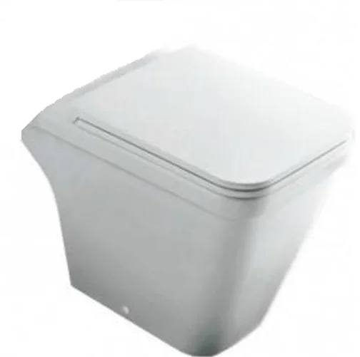 Унитаз напольный Hatria Erika Pro Q YXJ201 35х60 см (детальная фотография)