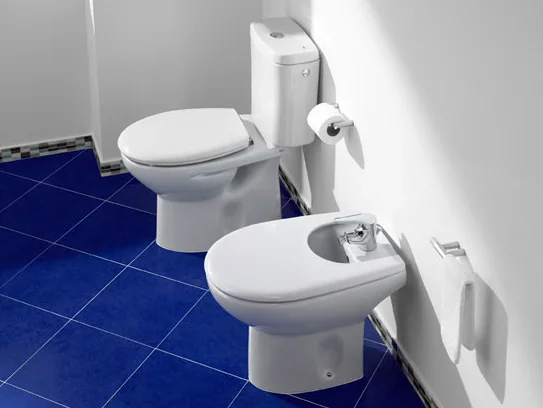 Биде напольное Roca Victoria с горизонтальным выпуском 357390000 (детальная фотография), круглой формы