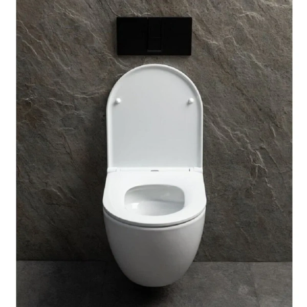 Унитаз подвесной Allen Brau Priority белый глянец 4.31009.20 (детальная фотография), без бачка, со скрытым бачком