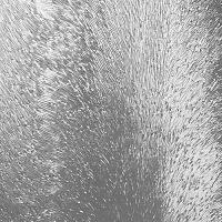 Шторка для ванны, стекло шиншилла, RGW Screens 04114118-51