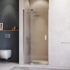 Душевая дверь в нишу RGW Hotel HO-014 110 см профиль хром, стекло матовое