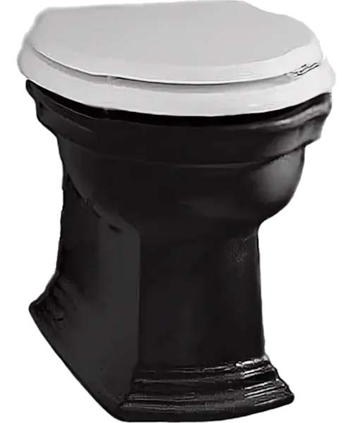 Унитаз напольный Devon & Devon Westminster черный 2IBWCBWBTW (детальная фотография)