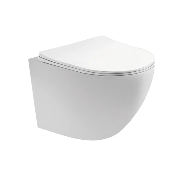 Унитаз подвесной Акватек Европа белый AQ1900T-00 (детальная фотография)