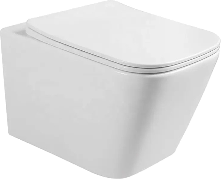 Унитаз подвесной Ceruttispa Maiella белый CT9164 (детальная фотография)