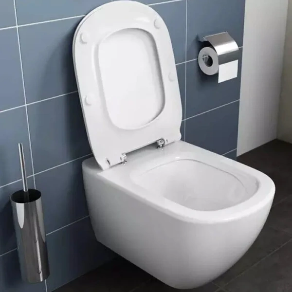 Унитаз подвесной Ideal Standard Tesi с микролифтом ST007901 (детальная фотография), без бачка, со скрытым бачком
